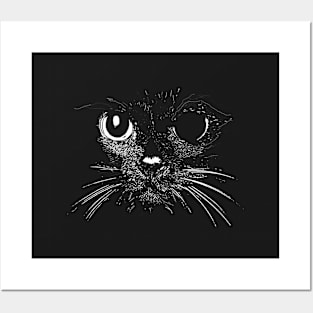 BROKEN CAT Posters and Art